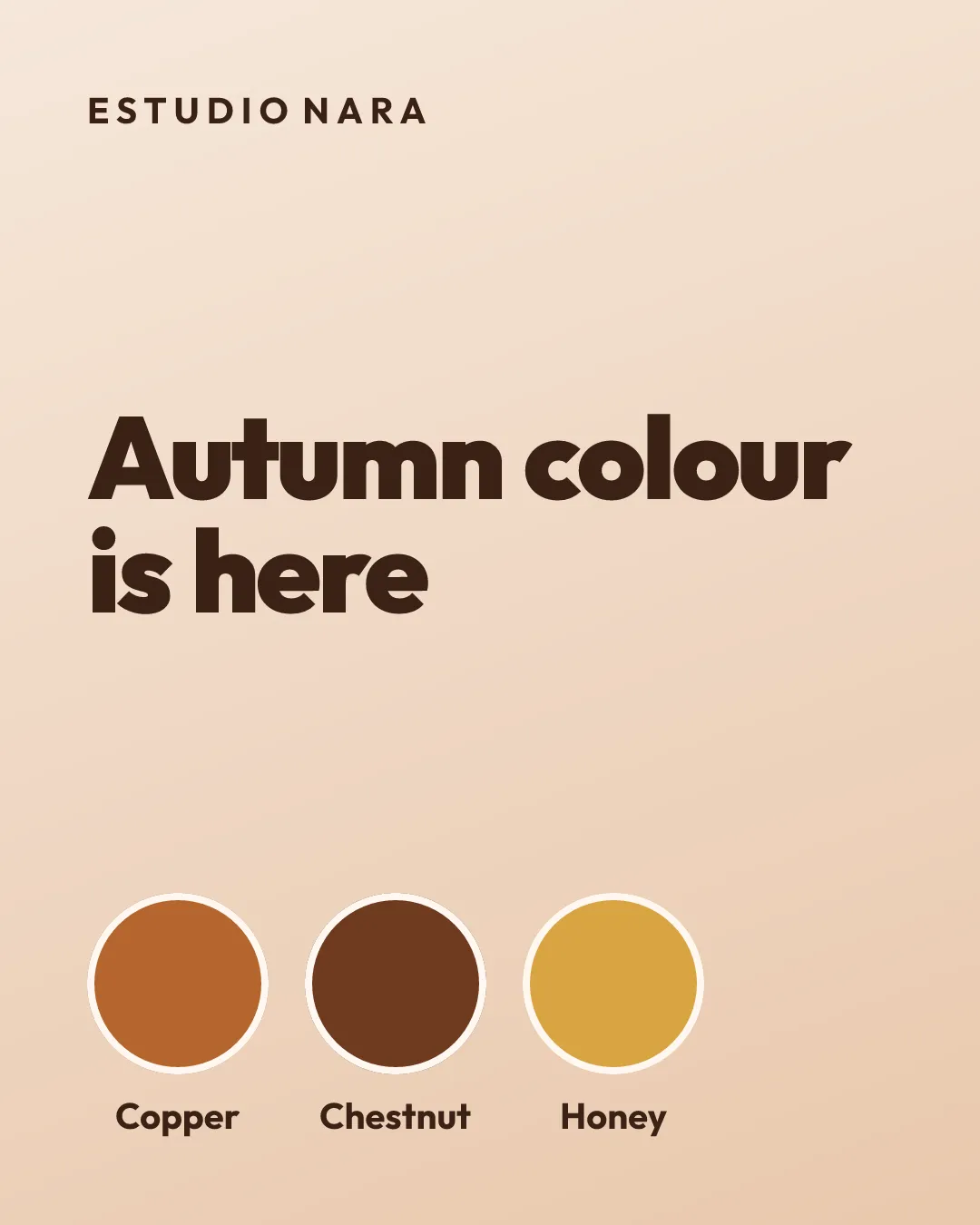Design with the title Autumn colour is here and three shades: copper, chestnut and honey