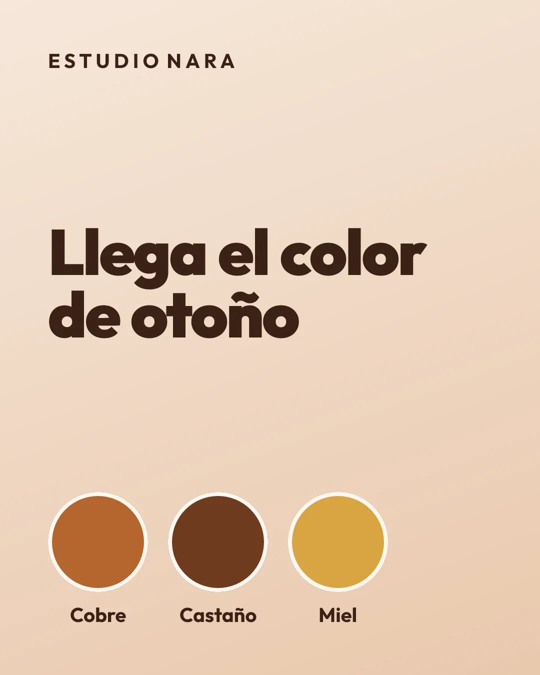 Diseño con el título Llega el color de otoño y tres tonos: cobre, castaño y miel