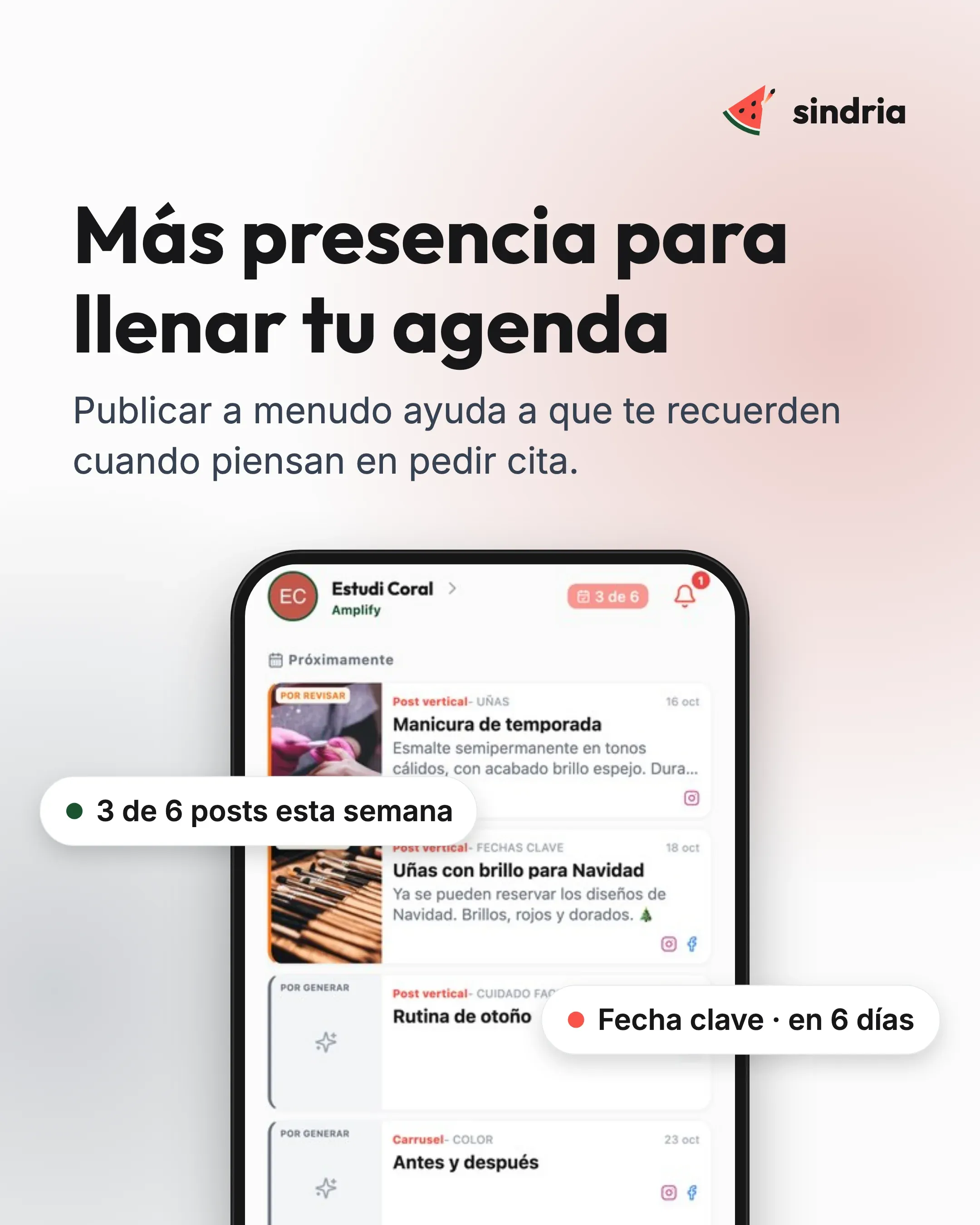 Peluquerías y estética: Resultados visibles