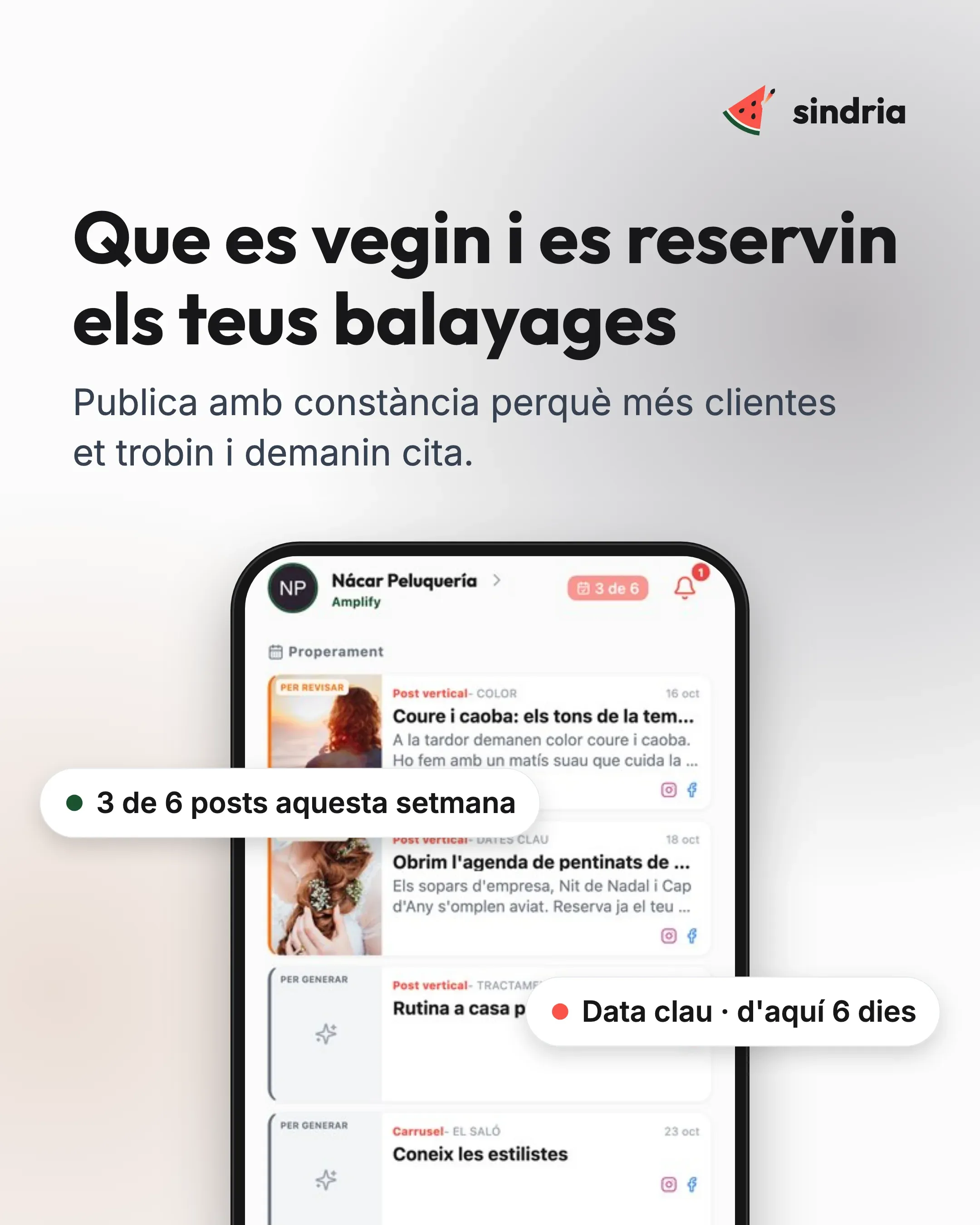 Perruqueries: Resultats visibles