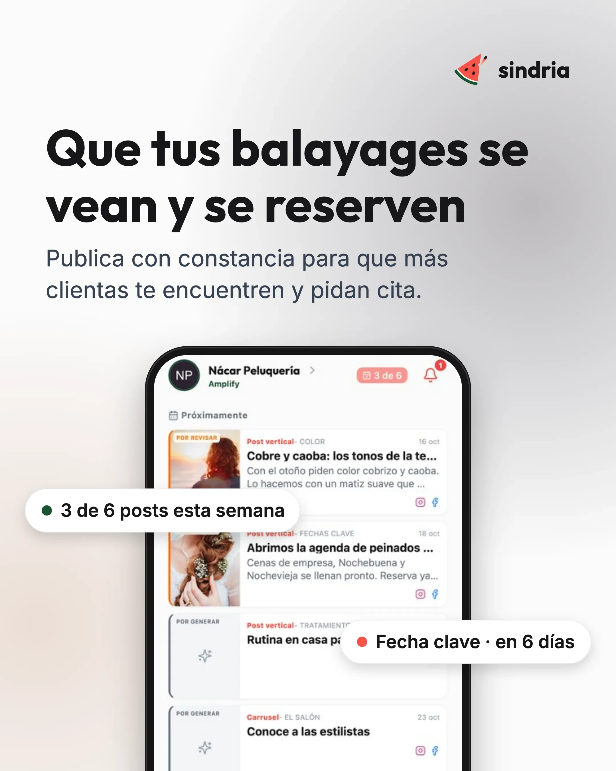 Peluquerías: Resultados visibles