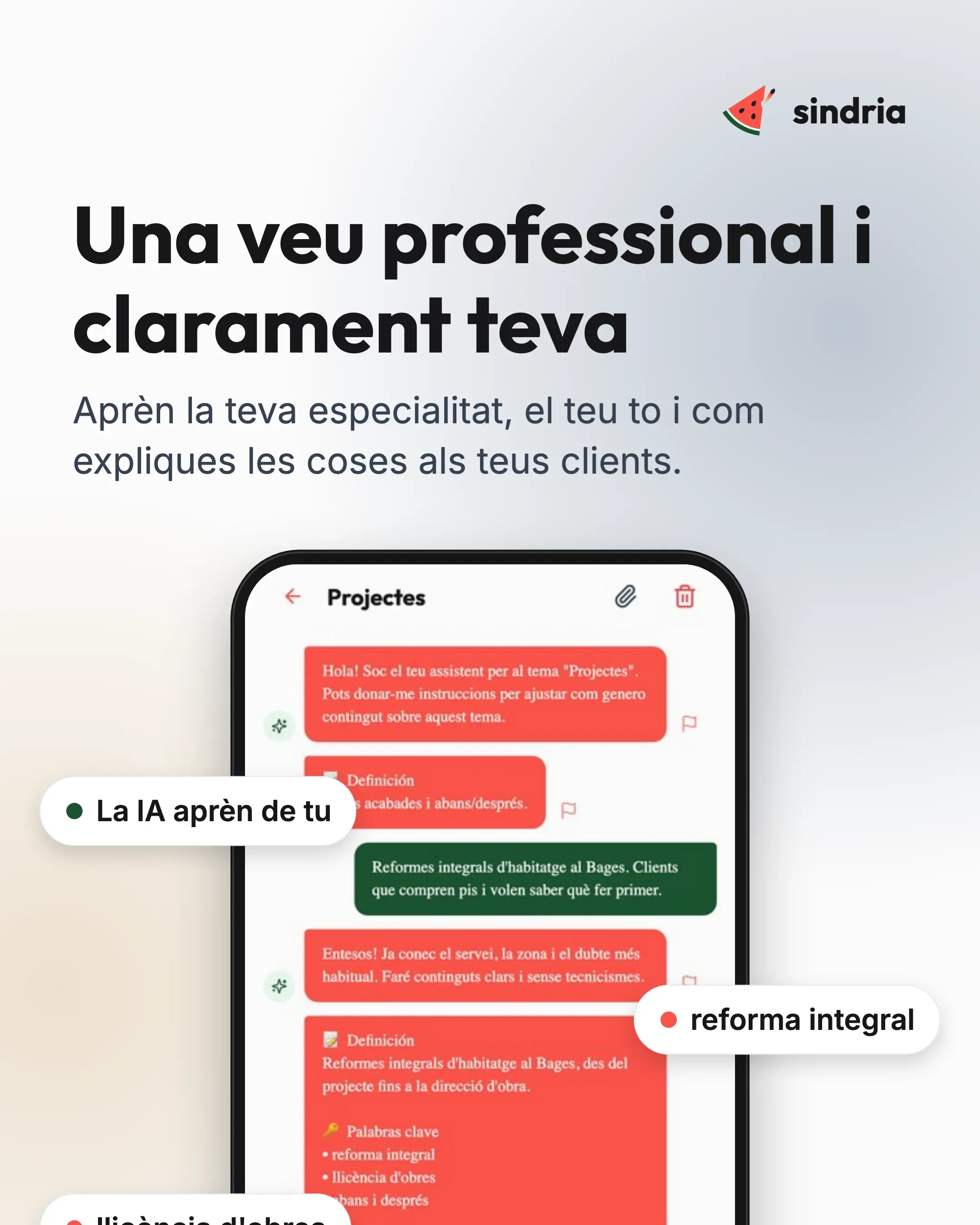 Professionals: La teva pròpia veu