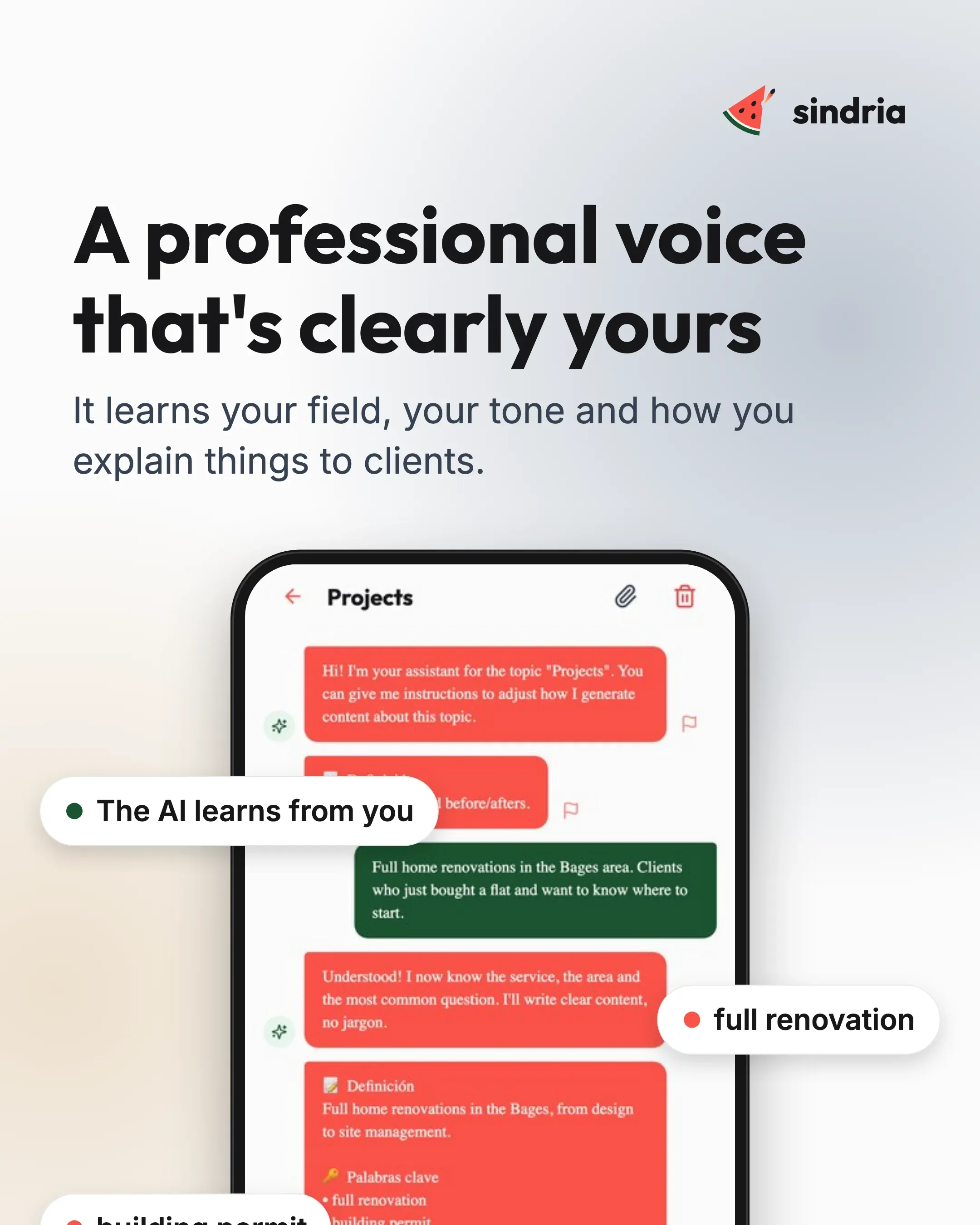 Professionals: Your own voice